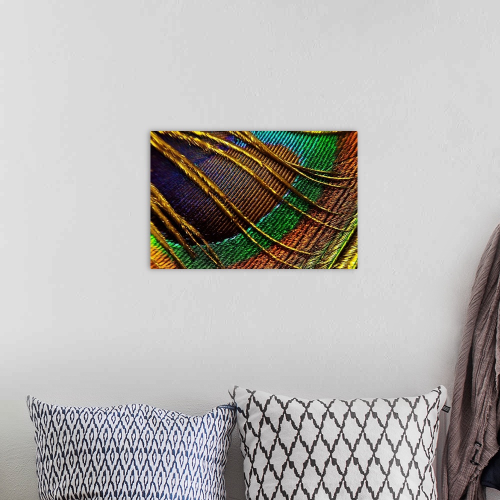 A bohemian room featuring This decorative wall art is a macro, close up photograph of a peacock feather.