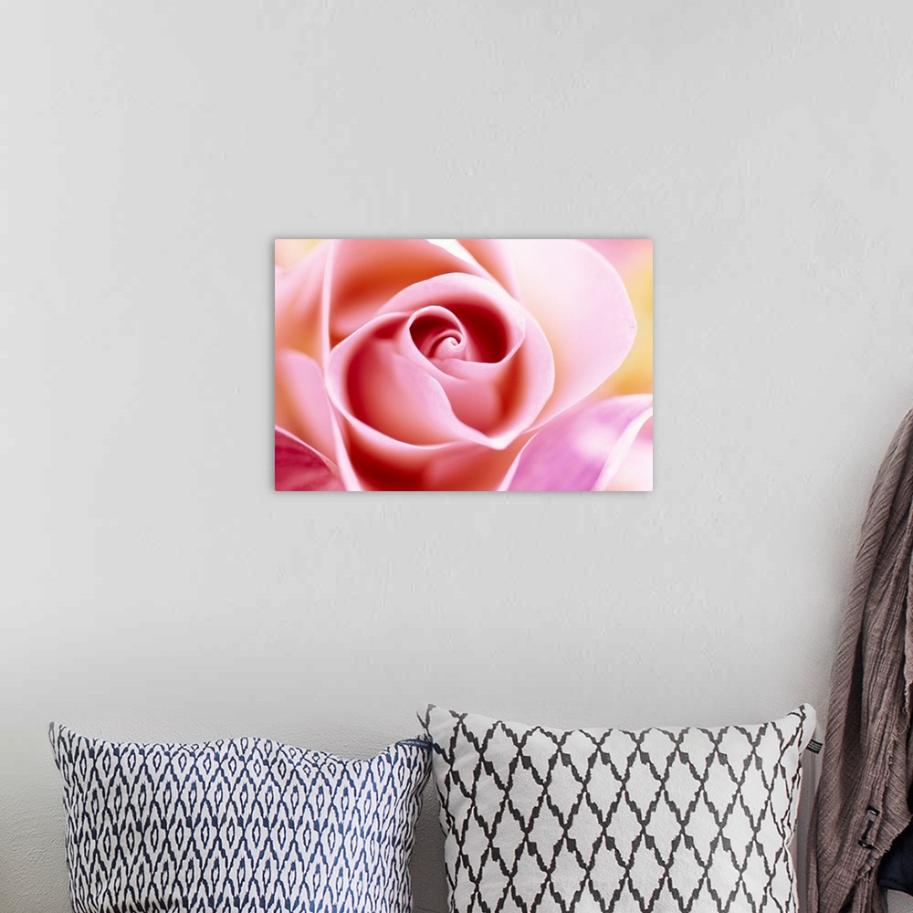 A bohemian room featuring Macro photograph of a rose, horizontal wall art for the living room or office.