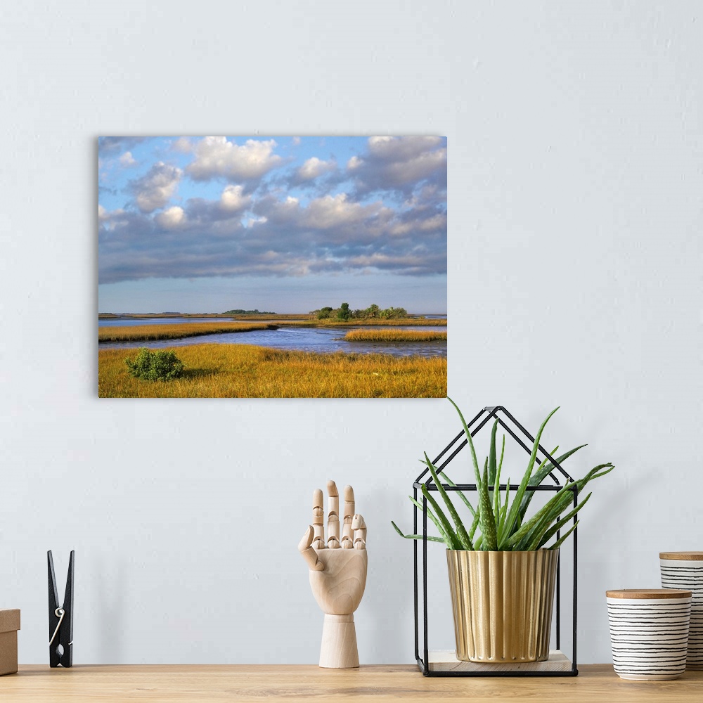 A bohemian room featuring Saltwater marshes at Cedar Key, Florida