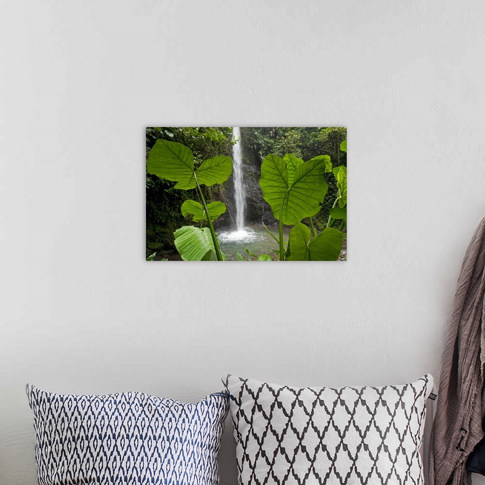 A bohemian room featuring Big canvas print of water falling from a stream in a tropical forest.