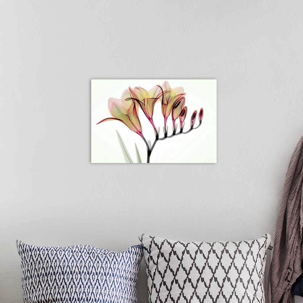 A bohemian room featuring Fine art photograph using an x-ray effect to capture an ethereal-like image of freesias.