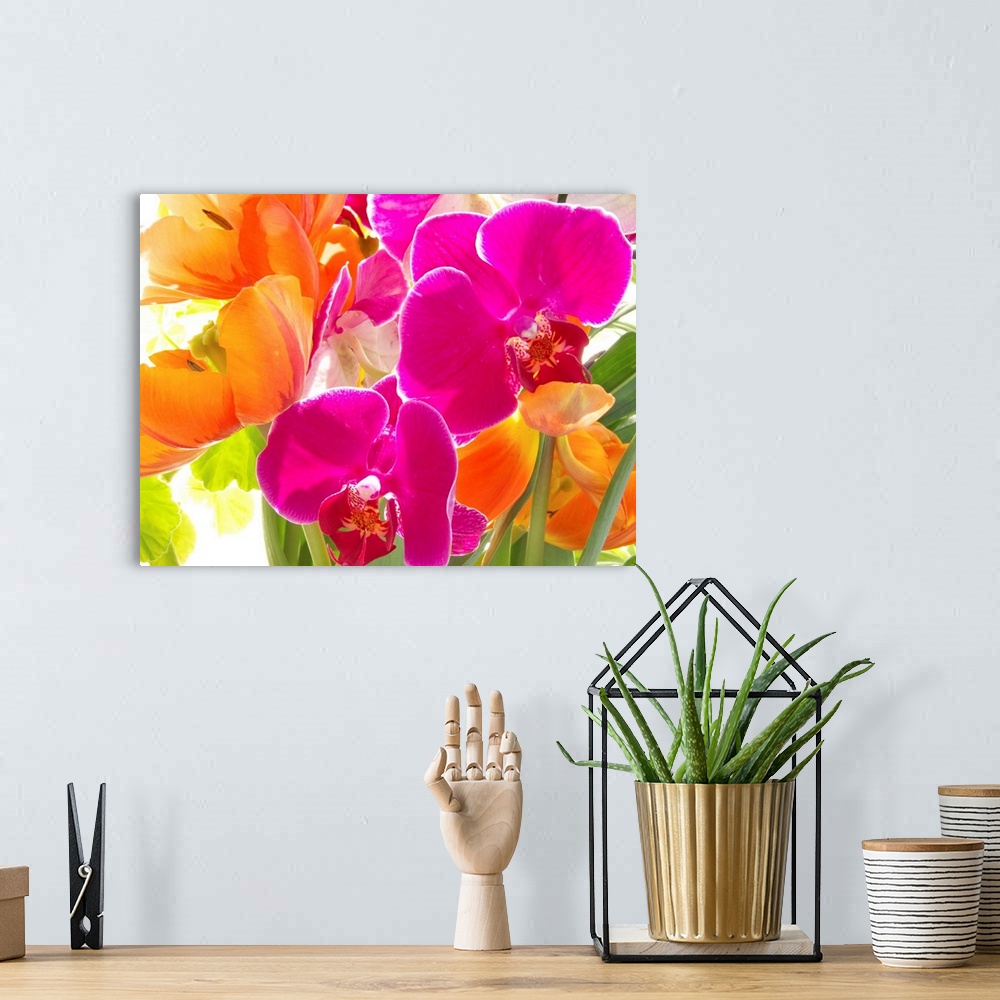 Magenta Orchids Wall Art, Canvas Prints, Framed Prints, Wall Peels ...