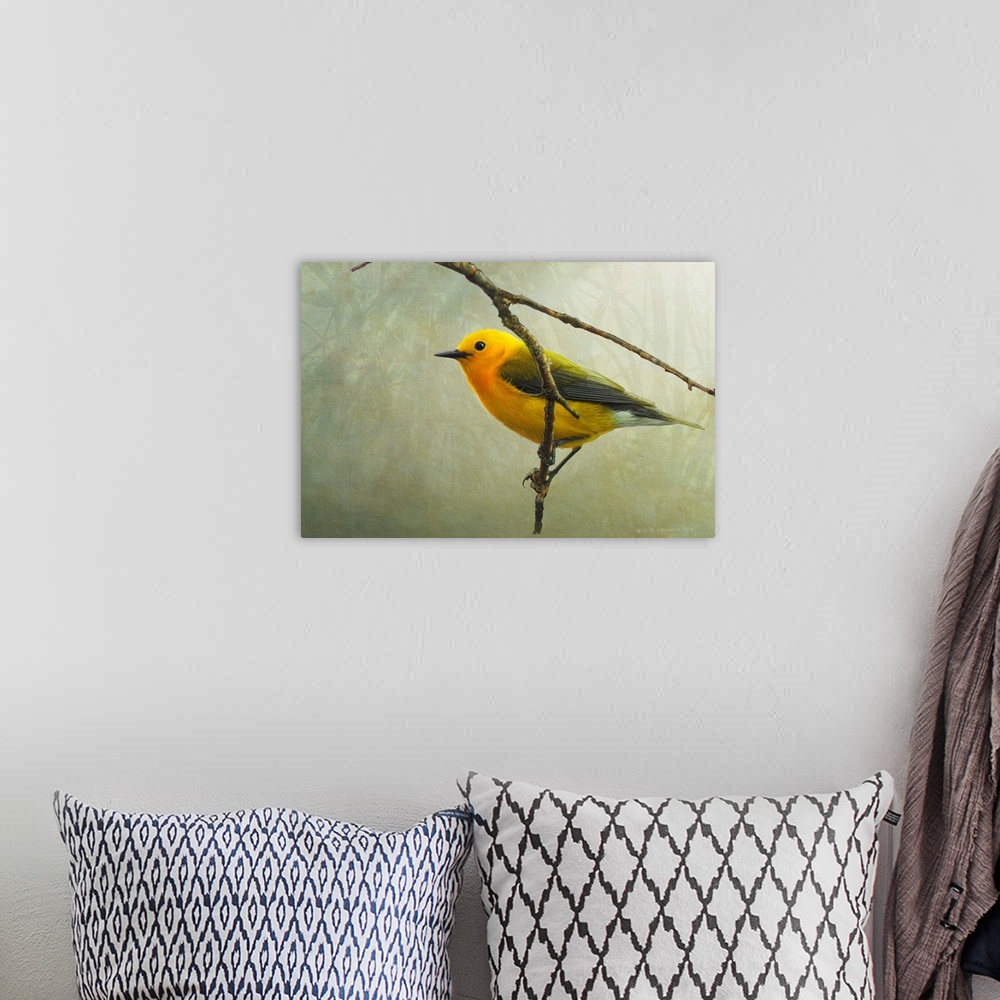Prothonotary Warbler Wall Art, Canvas Prints, Framed Prints, Wall Peels ...