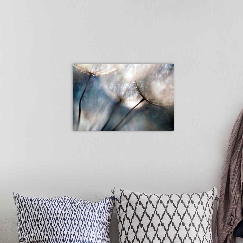 A bohemian room featuring Large abstract photo shows a close-up of flowers that includes a lot of bright colors and added t...