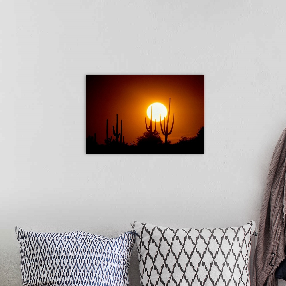 A bohemian room featuring Photograph of cacti and bush silhouettes with bright setting sun in the background.