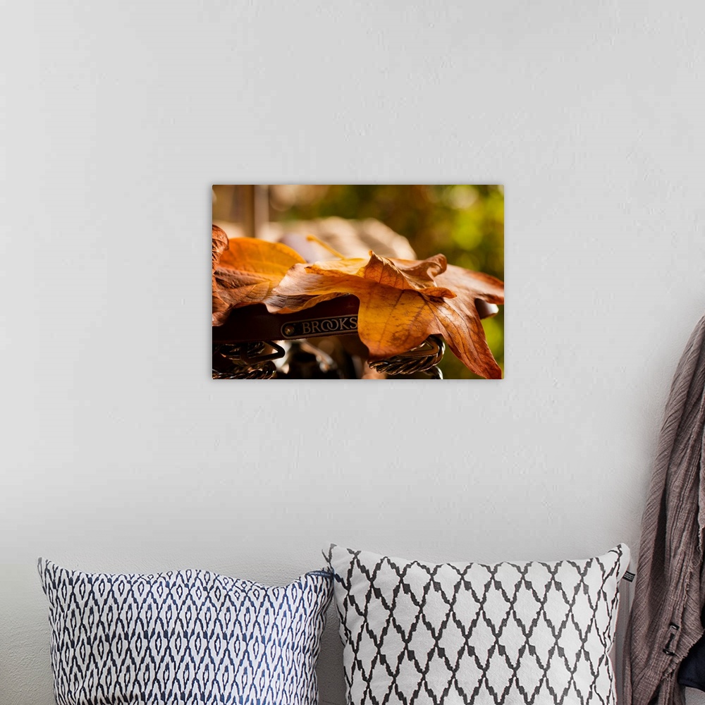 A bohemian room featuring Fine art photo of fallen autumn leaves lying on a bicycle seat.