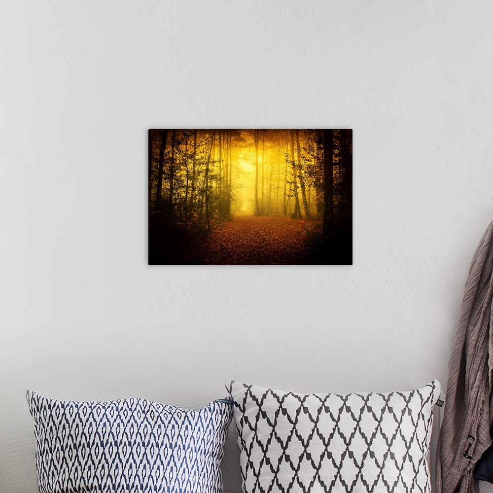 A bohemian room featuring Morning yellow mood of Broceliande forest in France, Britany area, a path crossing the forest and...