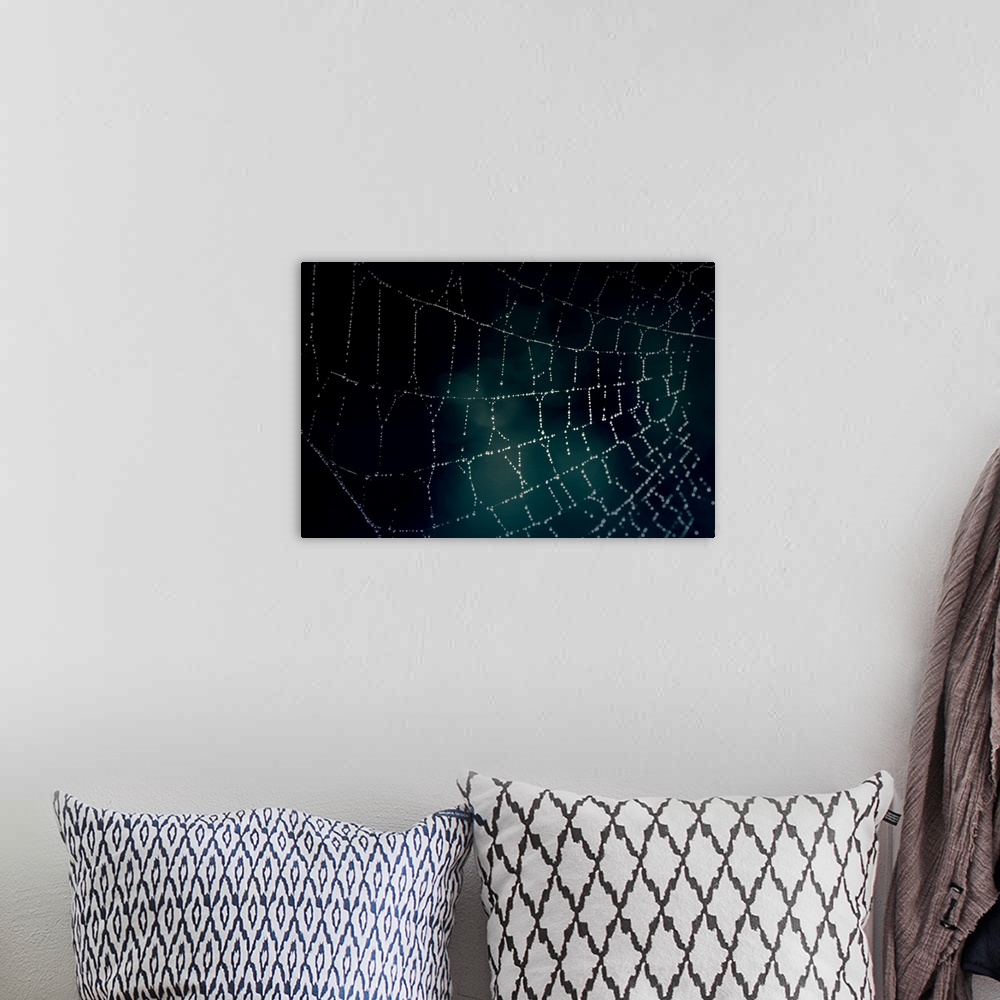 A bohemian room featuring Large photograph shows a close-up featuring a spider web covered in tiny water drops as they glim...