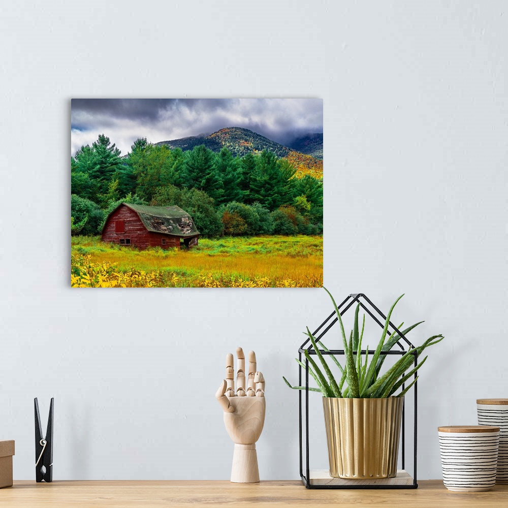 A bohemian room featuring An old forgotten red barn in a field with tall trees and a hilly landscape in the distance.