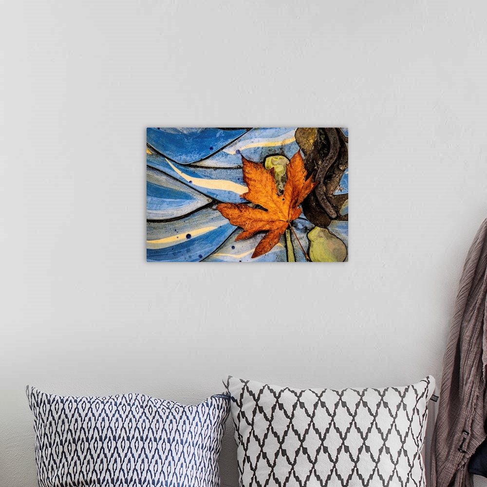 A bohemian room featuring Fine art photo of a fallen leaf on an abstract natural background.