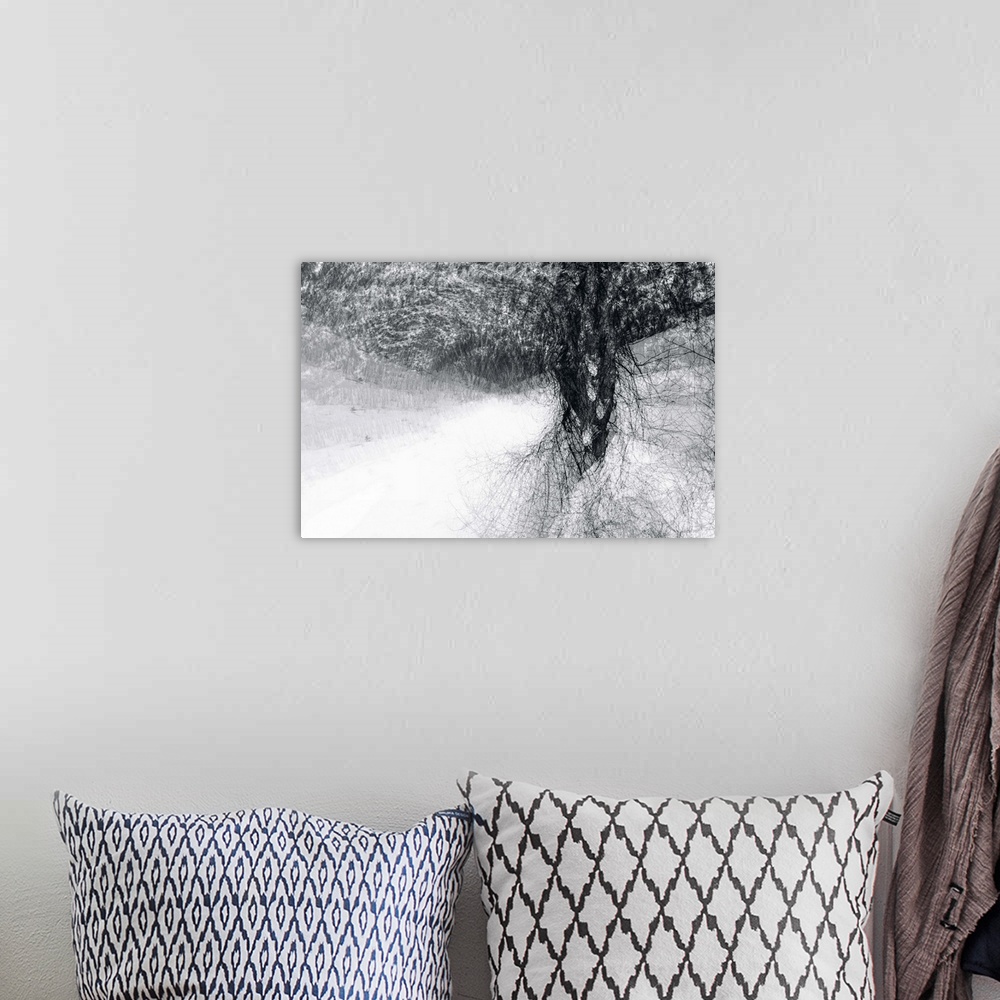 A bohemian room featuring An abstract photograph of a tree in black and white.