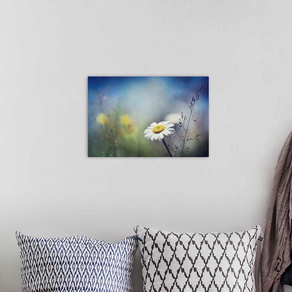 A bohemian room featuring Little white daisy focused in the foreground against a dramatically blurred background.