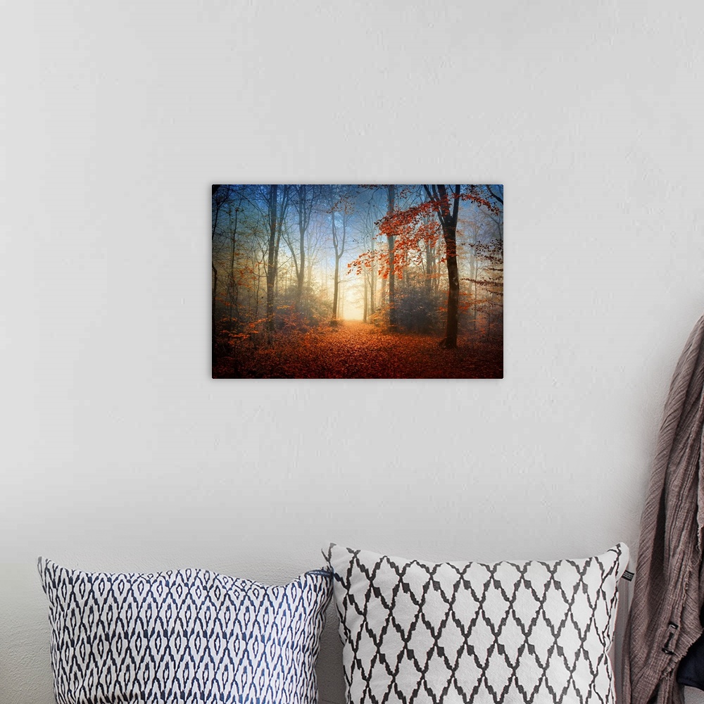 A bohemian room featuring Landscape, fine art photograph of the Broceliande forest with autumn foliage, surrounded by thin ...