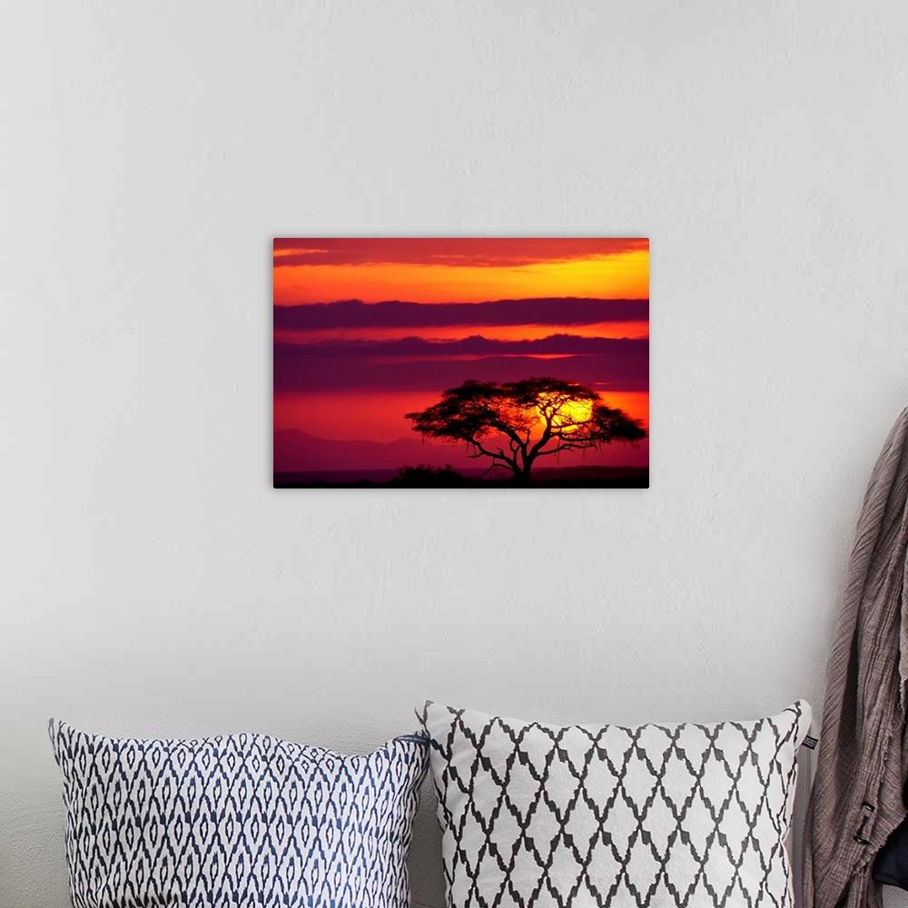 A bohemian room featuring Large photograph shows a lone acacia tree sitting within Amboseli National Park in Kenya while th...