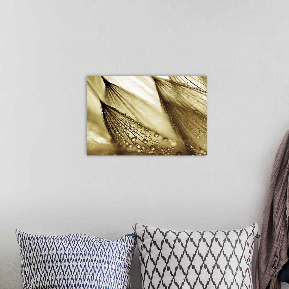 A bohemian room featuring Gold tinted photograph of rain droplets attached to leaning flowers.