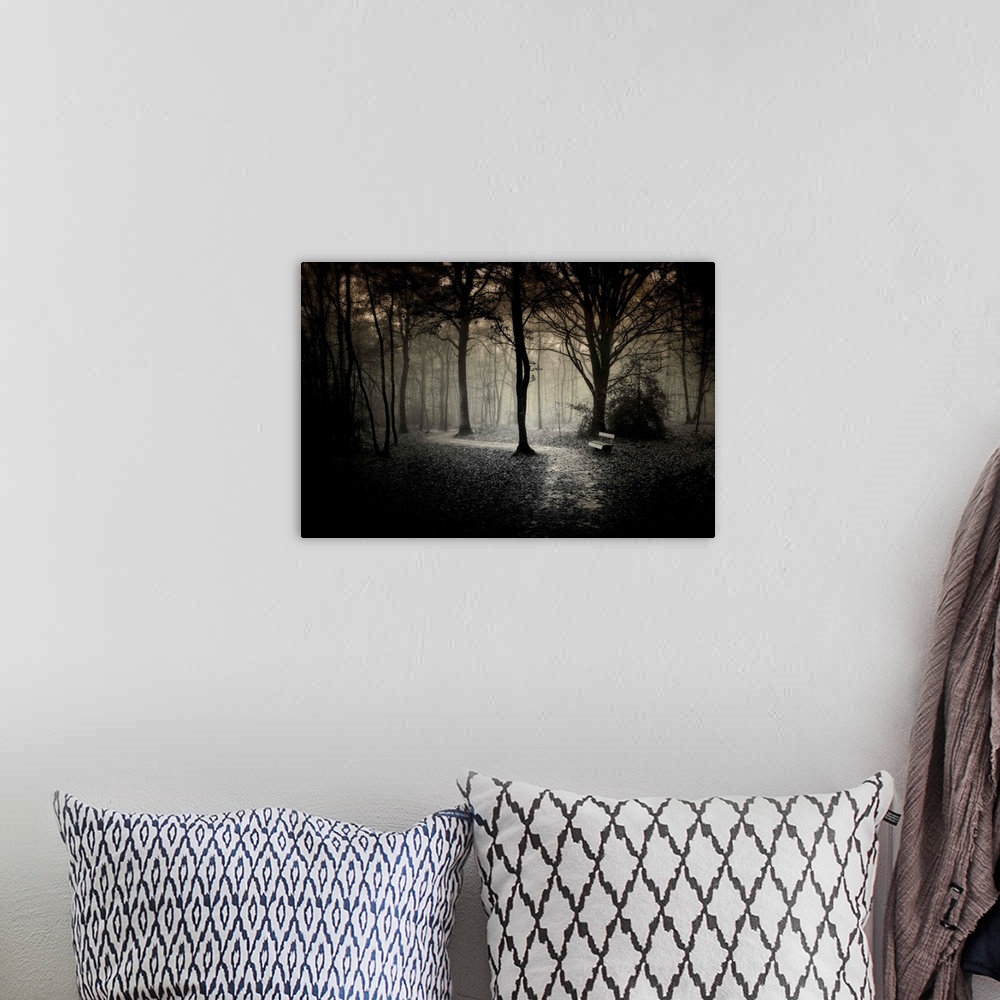 A bohemian room featuring Alone bench and path in the dark forest of Broceliande in France, black and white work.