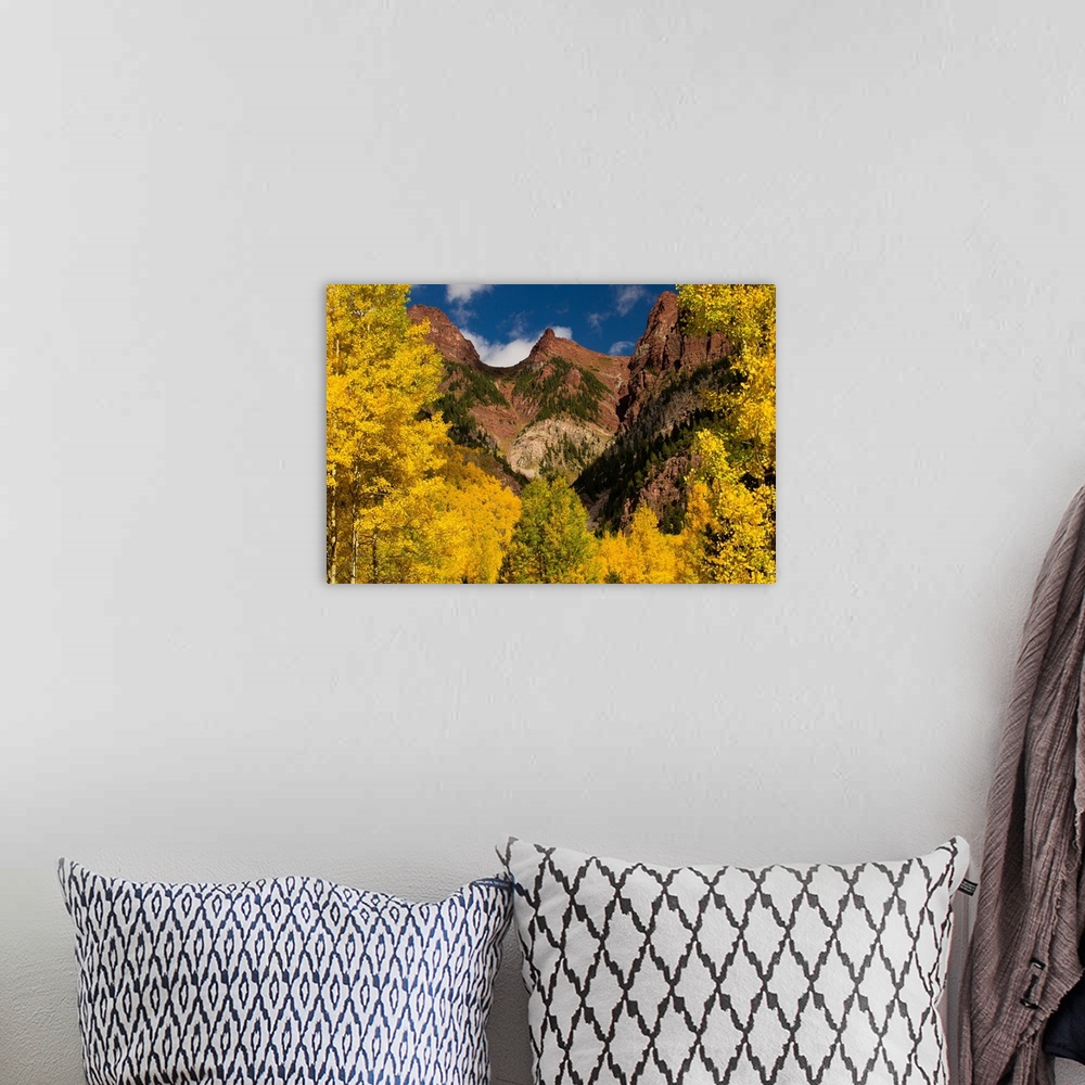 A bohemian room featuring Autumn trees on mountain, Maroon Bells, Maroon Creek Valley, Aspen, Pitkin County, Colorado, USA