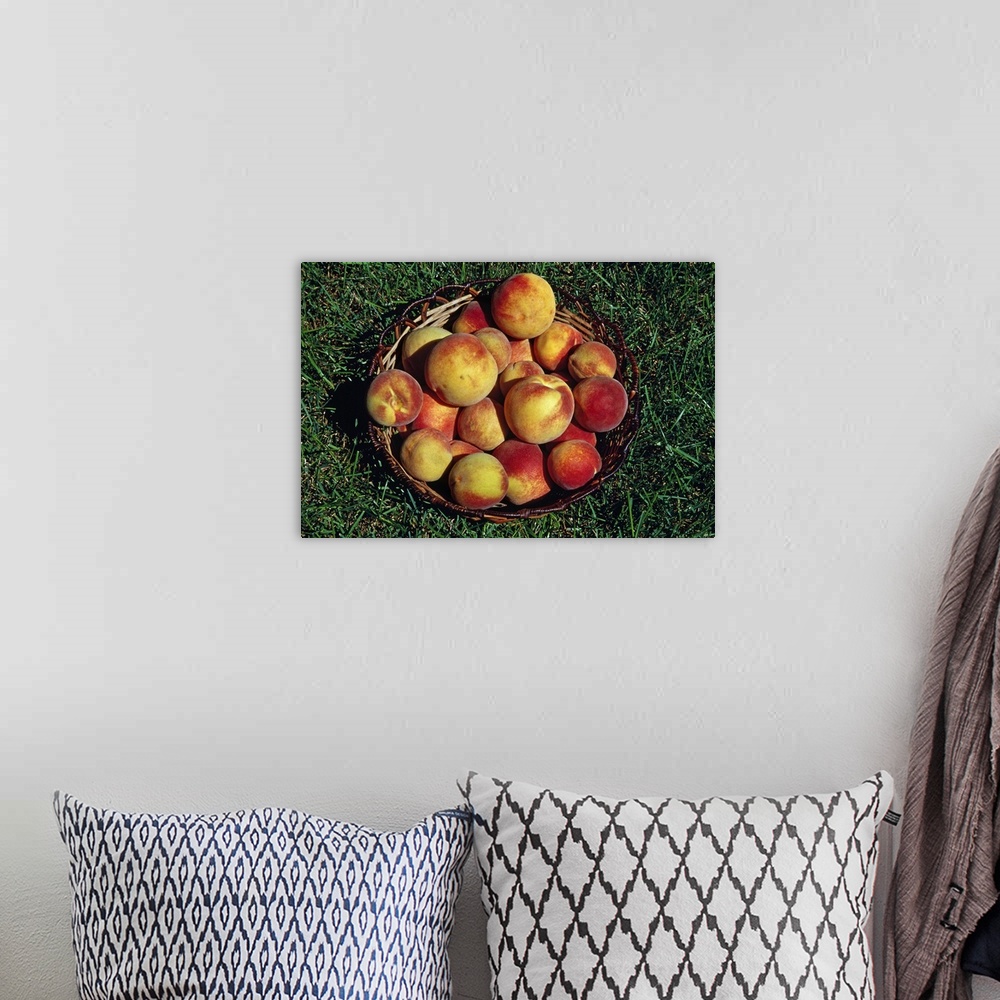 A bohemian room featuring Basket of harvested peaches.