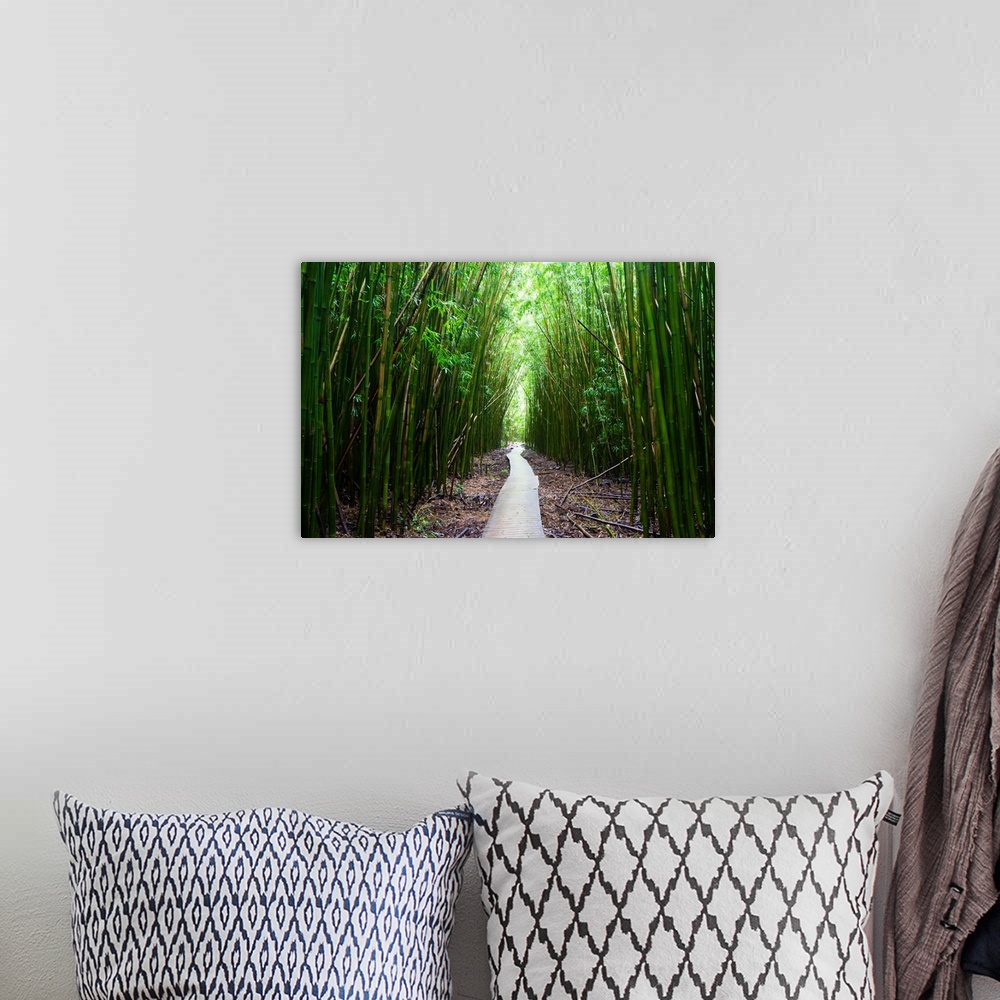 A bohemian room featuring Boardwalk passing through bamboo trees, Pipiwai Trail, Hakeakala National Park, Kipahulu, Hana Ro...