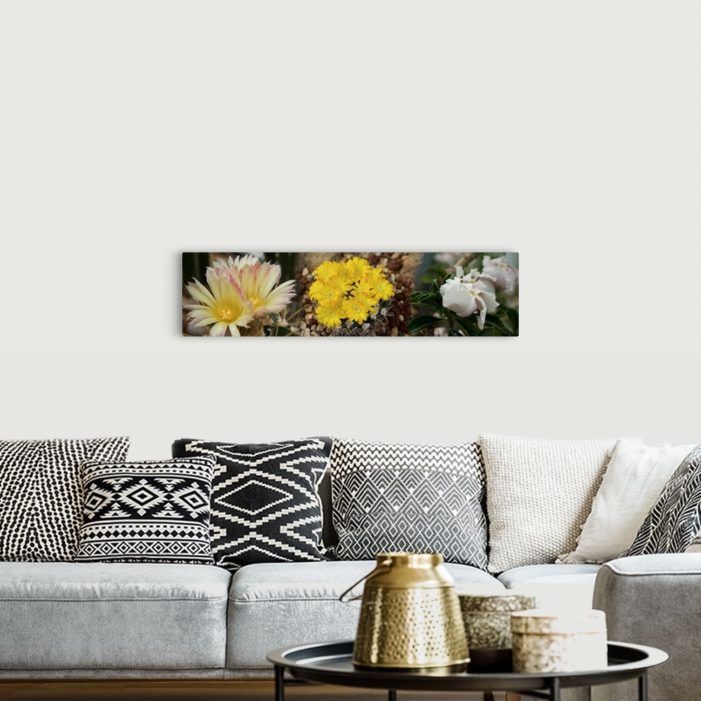 A bohemian room featuring Close-up of wildflowers