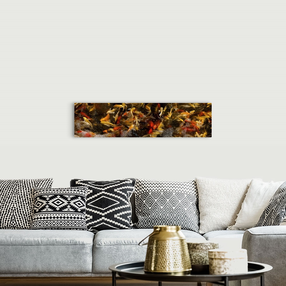 A bohemian room featuring Colorful Koi fish swimming underwater