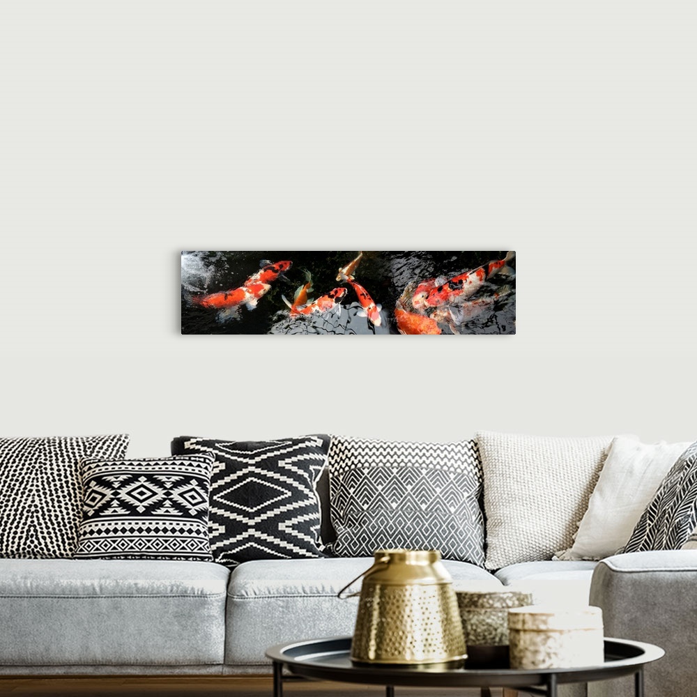 A bohemian room featuring Colorful Koi fish underwater