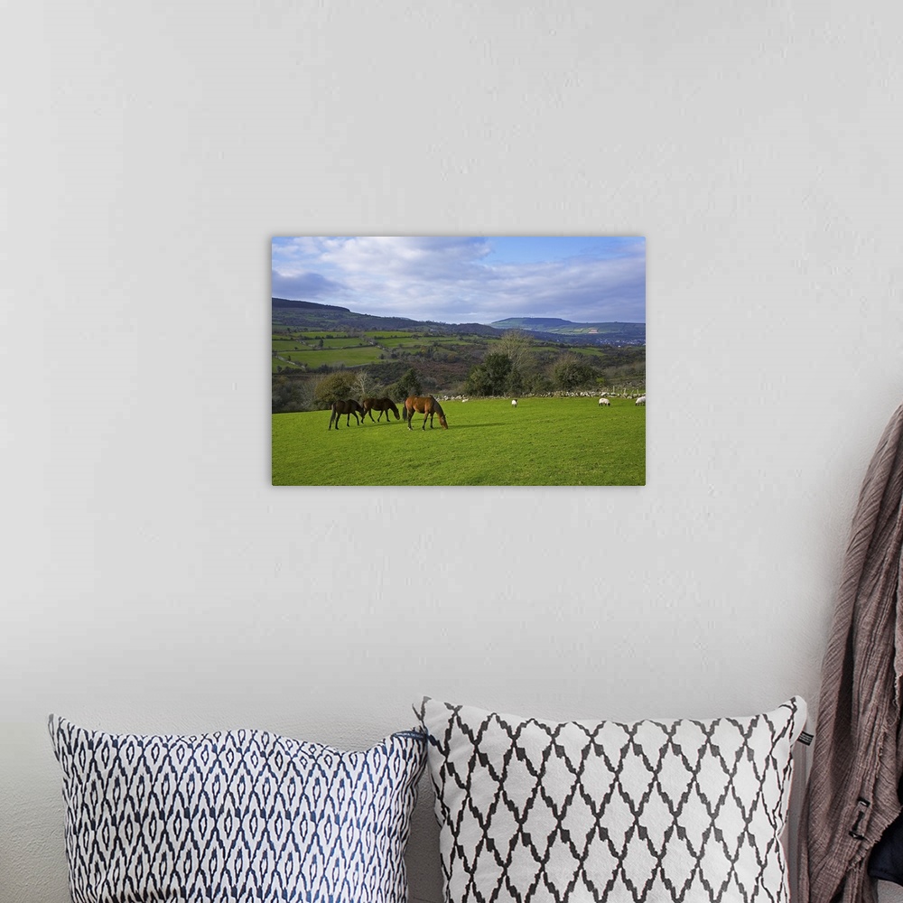 A bohemian room featuring Horses and Sheep in the Barrow Valley, Near St Mullins, County Carlow, Ireland