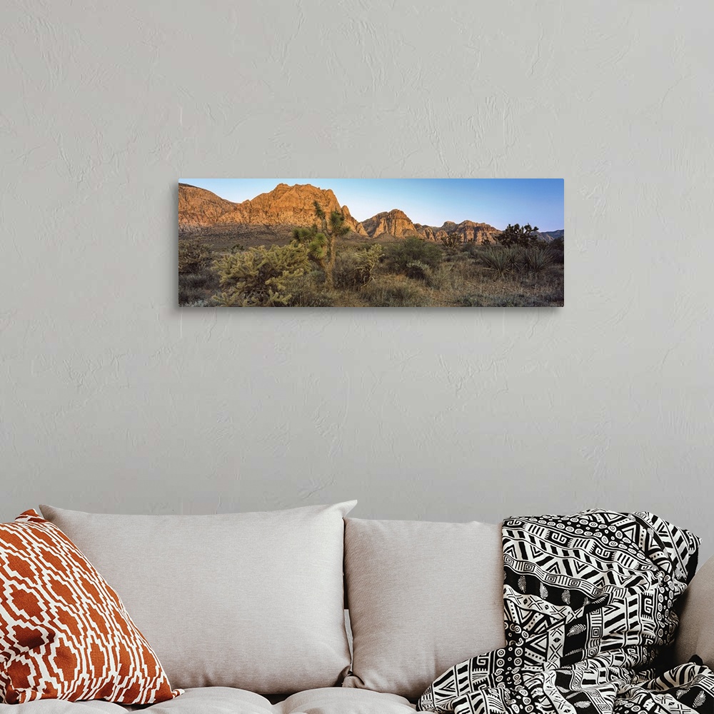 Joshua Trees In A Landscape, Walker Pass, Kern County, California  Solid-Faced Canvas Print, Walker Pass