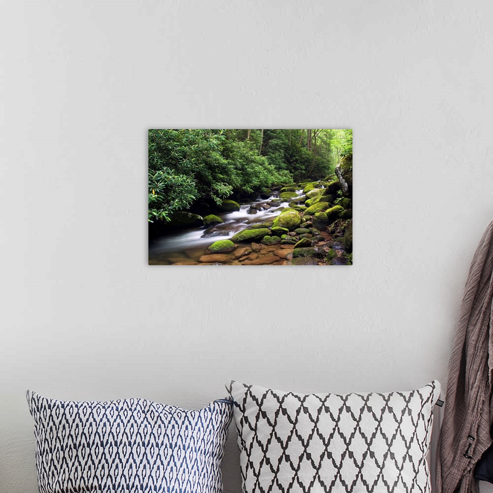A bohemian room featuring A time lapsed landscape photograph of a stream passing through round moss covered boulders in a f...