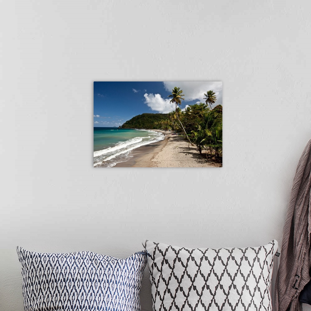 A bohemian room featuring Palm trees along the beach, Grenada, Caribbean