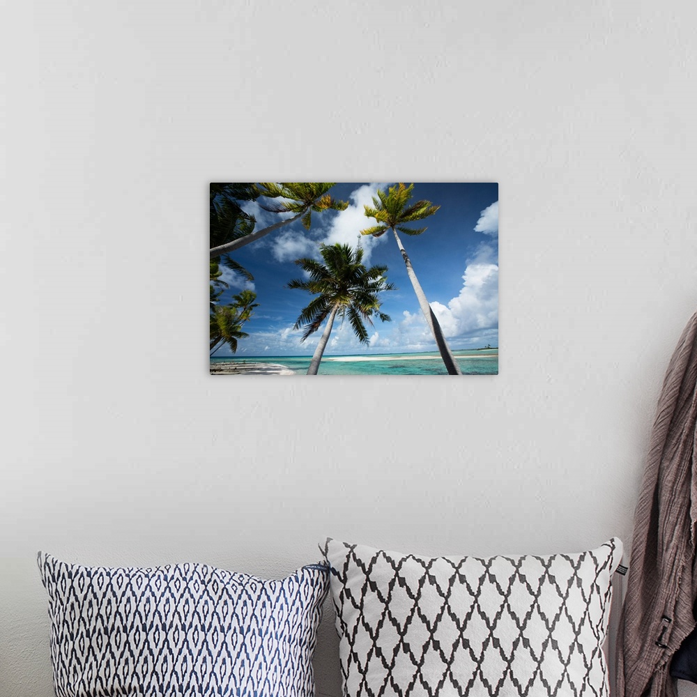 A bohemian room featuring Palm trees on the beach, Bora Bora, Society Islands, French Polynesia