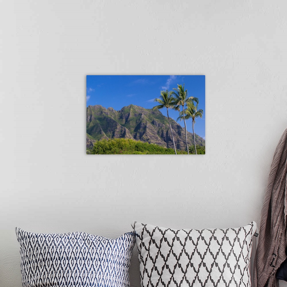 A bohemian room featuring Palm trees with mountain range in the background, Tahiti, French Polynesia