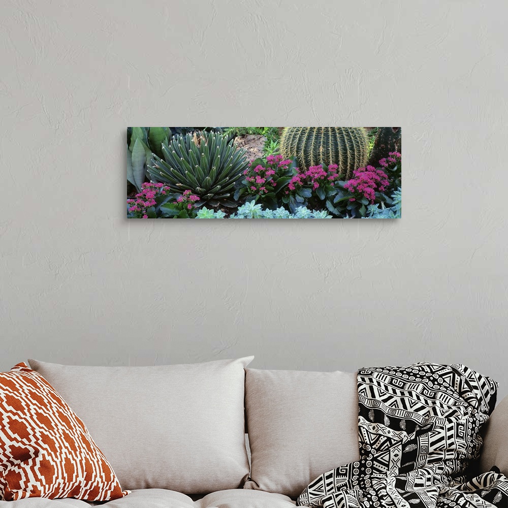 Plants Flowers Wall Art, Canvas Prints, Framed Prints, Wall Peels ...