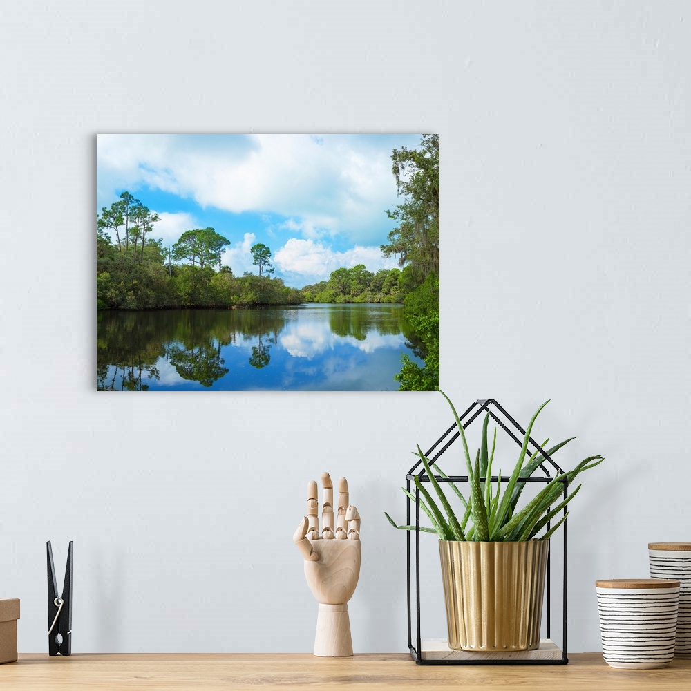 A bohemian room featuring Reflection of trees and clouds in South Creek, Oscar Scherer State Park, Nokomis, Sarasota County...