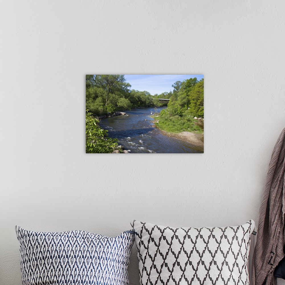 A bohemian room featuring River passing through a forest, Beaver River, Ontario, Canada