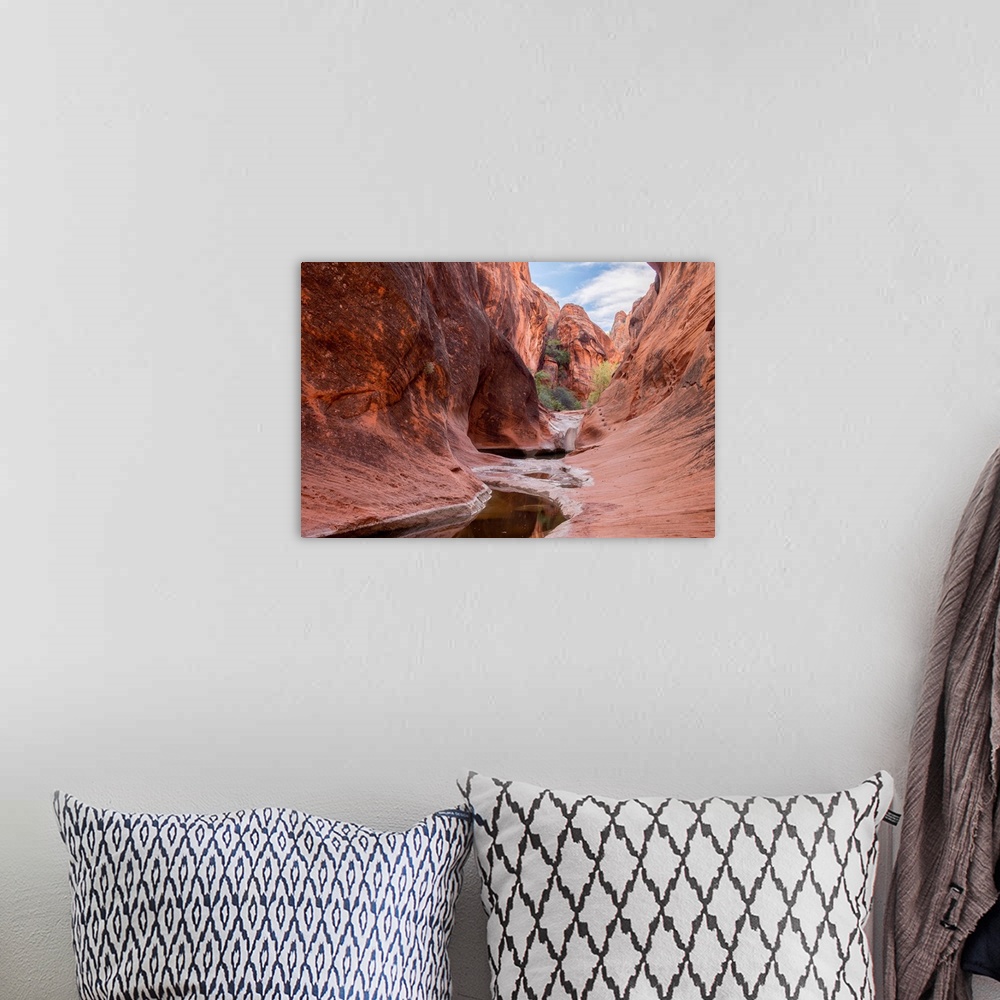 A bohemian room featuring Rock formations at Water Canyon Trail, Water Canyon, St. George, Utah, USA