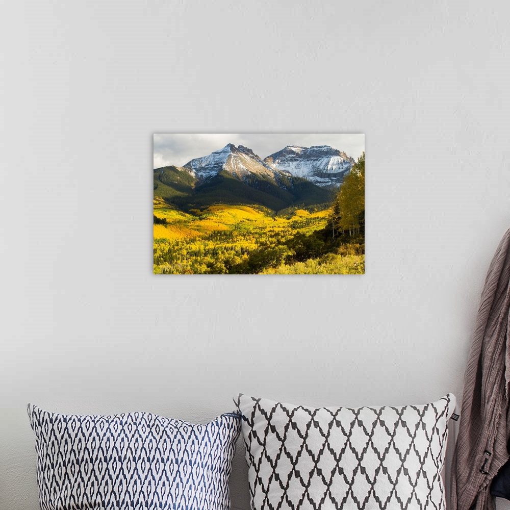 A bohemian room featuring Trees with mountain range in the background, Aspen, Pitkin County, Colorado, USA