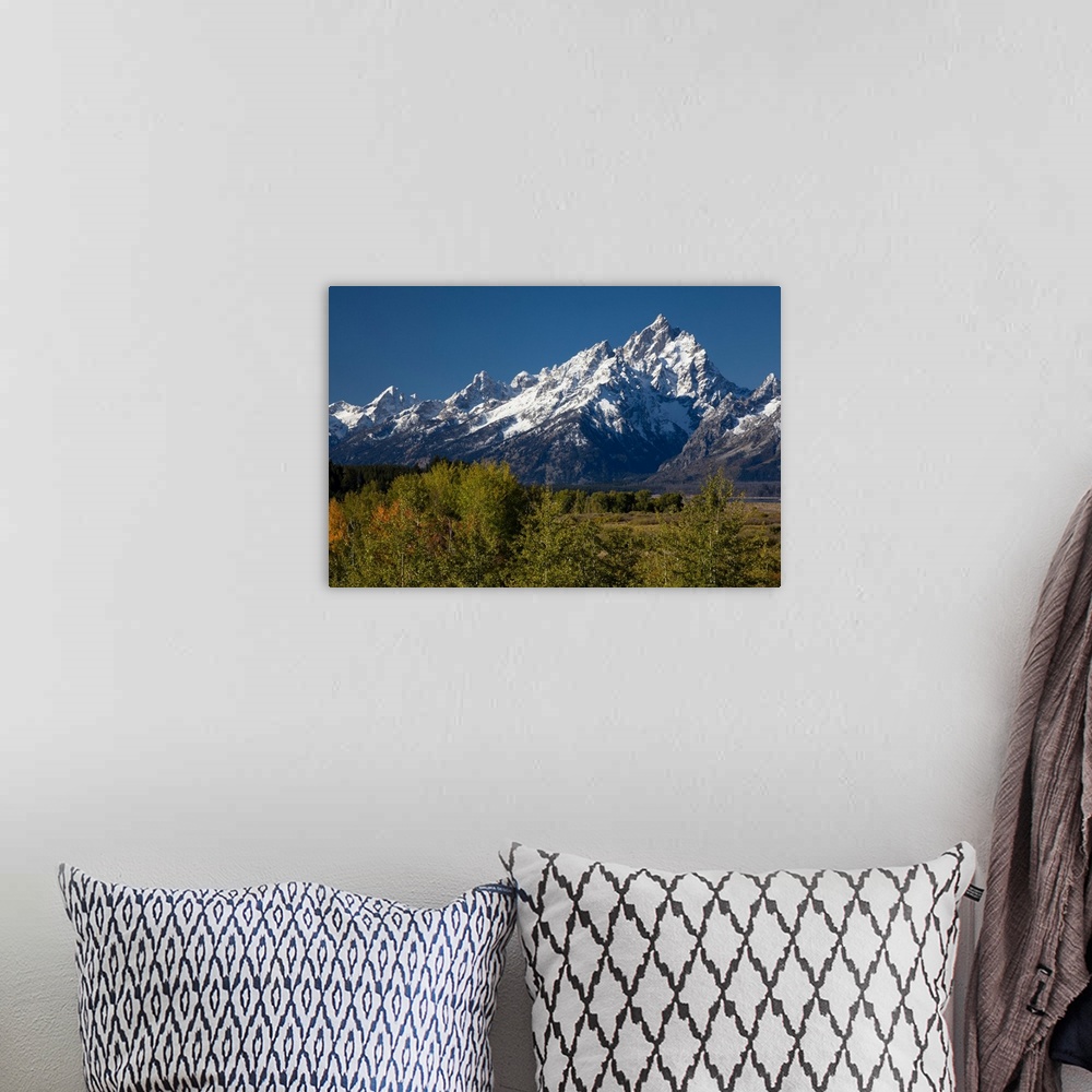 A bohemian room featuring Trees with mountain range in the background, Teton Range, Grand Teton National Park, Wyoming, USA