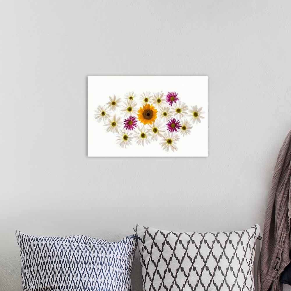 A bohemian room featuring Variety of flowers against white background.