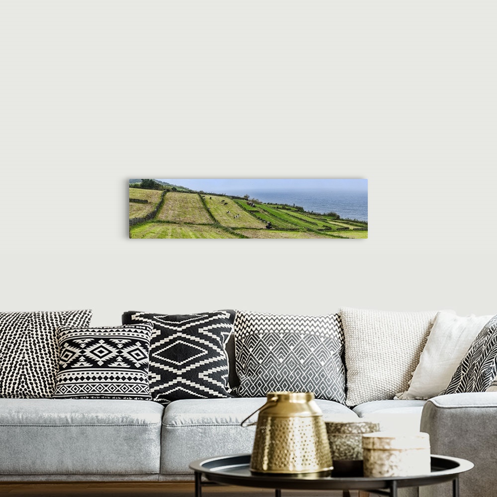 A bohemian room featuring View of farmland along coast, Terceira Island, Azores, Portugal