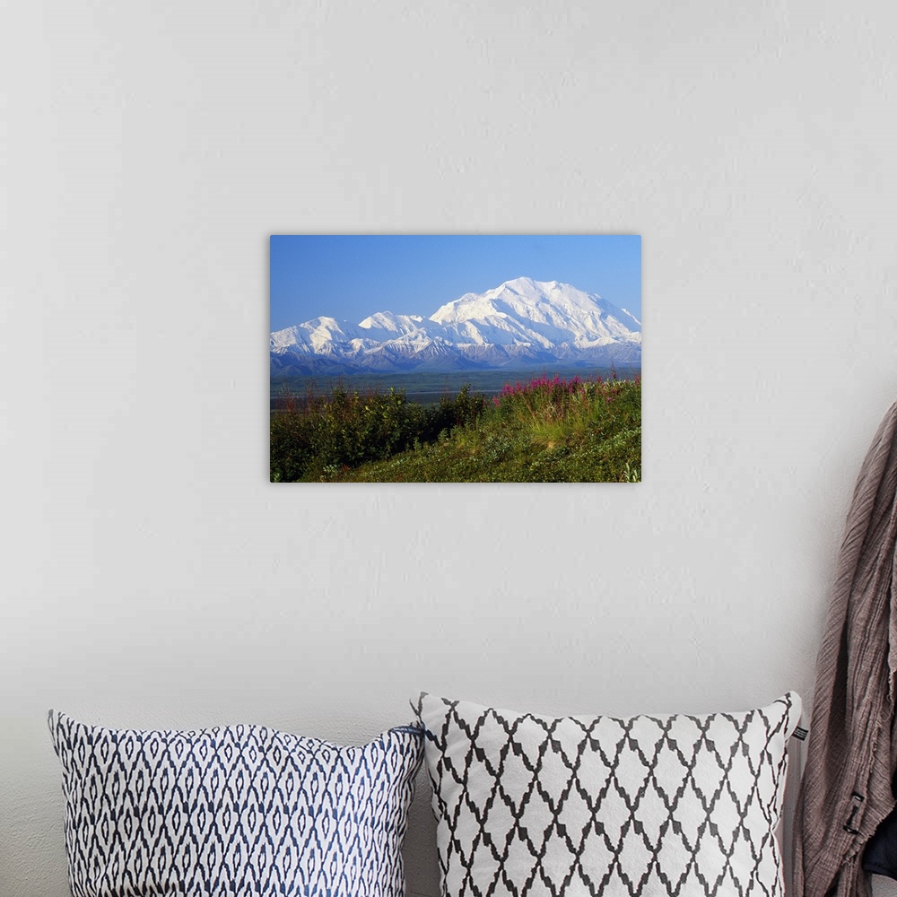 A bohemian room featuring Panoramic photograph of flower meadow with snow covered mountains in the distance under a clear sky.