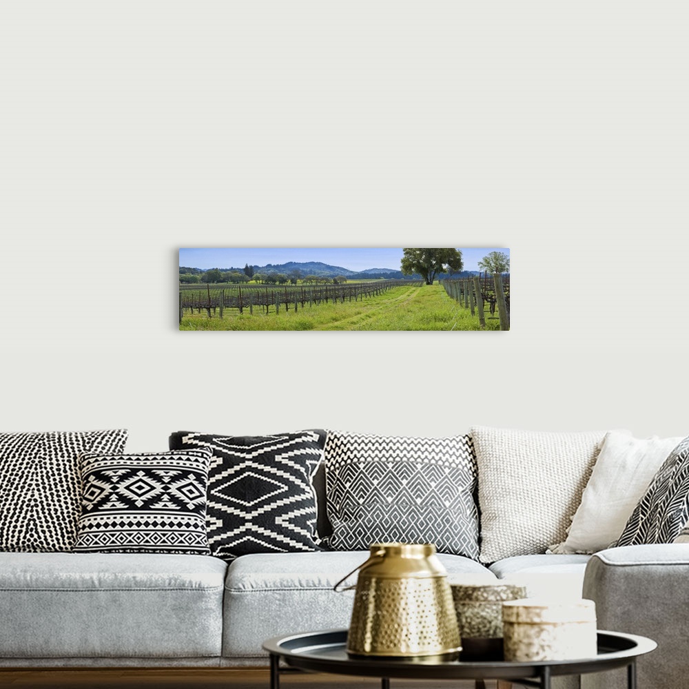 A bohemian room featuring Vineyard in Sonoma Valley, California