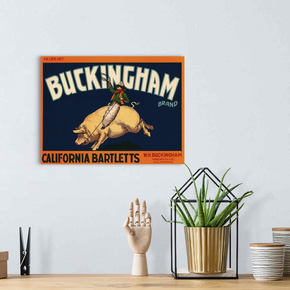 A bohemian room featuring Buckingham Brand