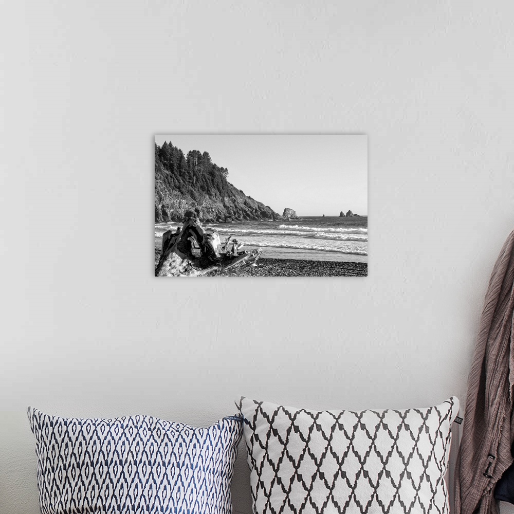 A bohemian room featuring Black and white photograph of the shore at La Push Beach in Washington.