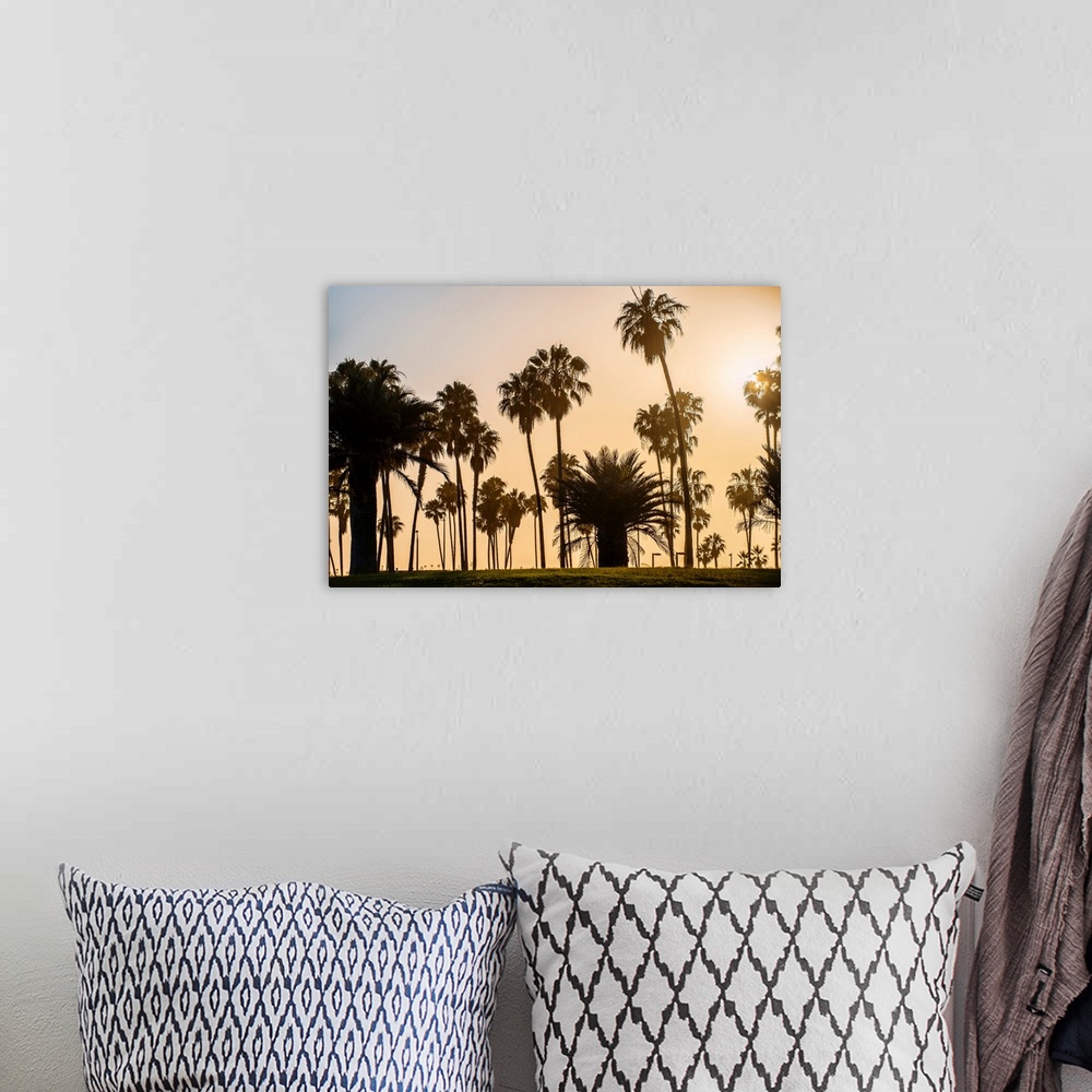 A bohemian room featuring A view of silhouetted palm trees as the sun sets in San Diego, California.