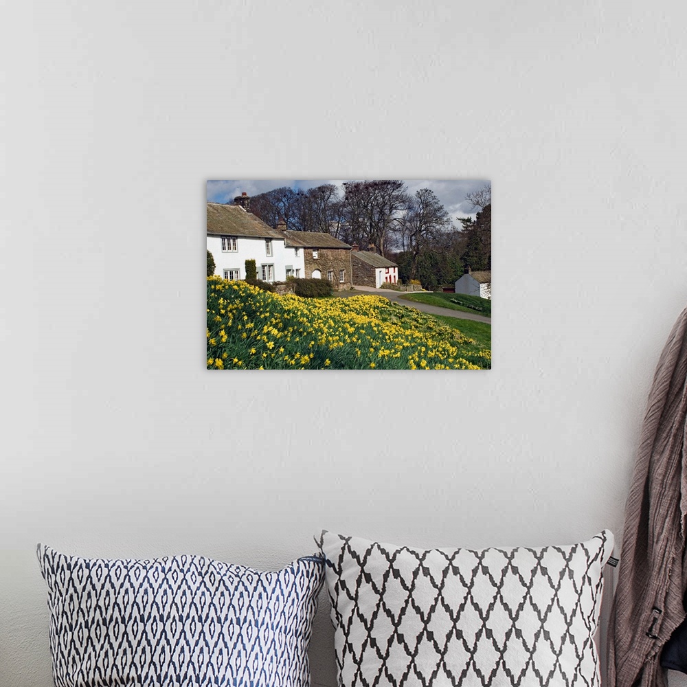 A bohemian room featuring Banks of daffodils in Askham village in Wordsworth Country, Cumbria, England