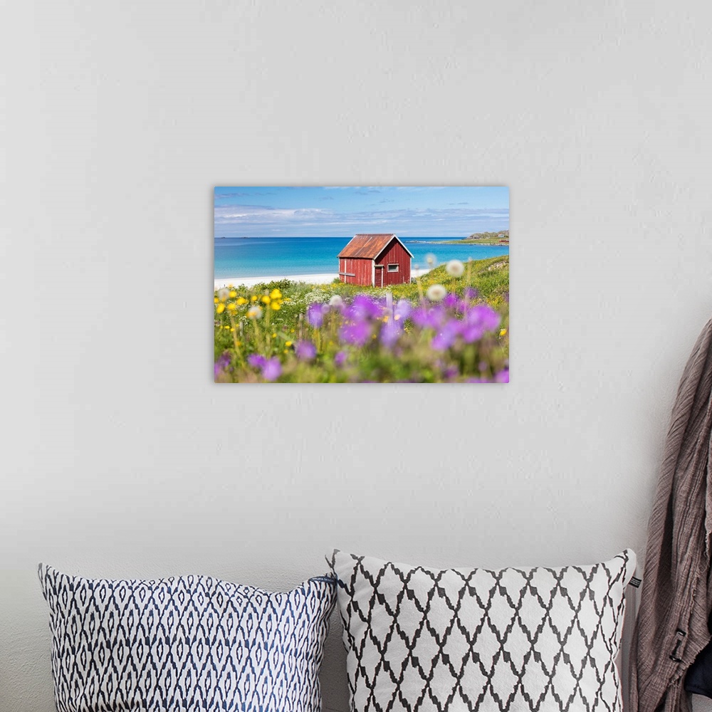 A bohemian room featuring Colorful flowers on green meadows frame the typical rorbu surrounded by turquoise sea, Ramberg, L...