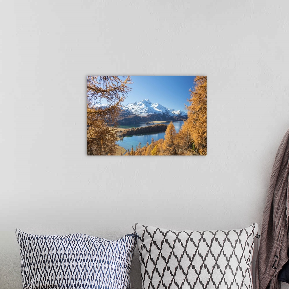 A bohemian room featuring Colorful woods around Lake Sils framed by snowy peaks in the background, Maloja, Canton of Graubu...