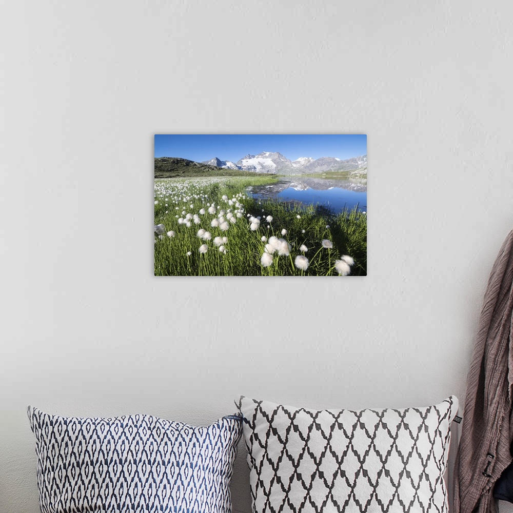 A bohemian room featuring Cotton grass frames snowy peaks reflected in water, Val Dal Bugliet, Bernina Pass, Canton of Grau...