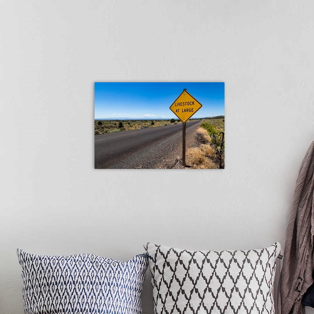A bohemian room featuring Empty road in central Oregon's High Desert with Livestock at Large sign and the Three Sisters pea...